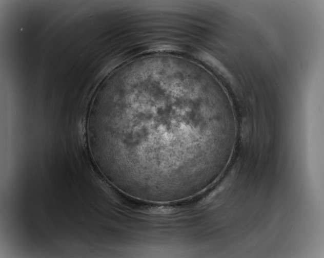 X0000089691321200707121329