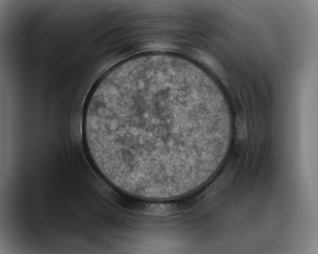 X0000089691322200707121329