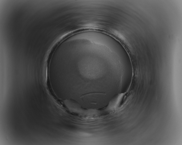 X0000089691323200707121329