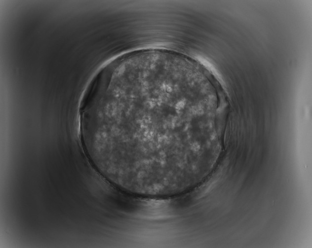 X0000089691324200707121329