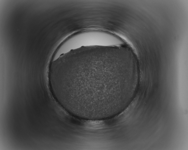 X0000089691325200707121329