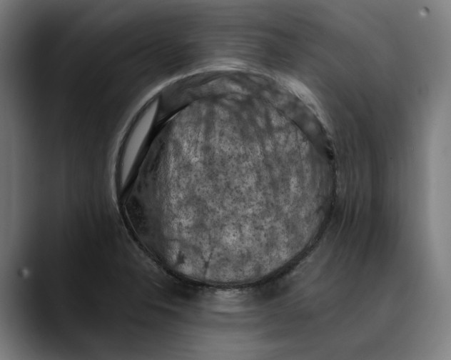 X0000089691326200707121329