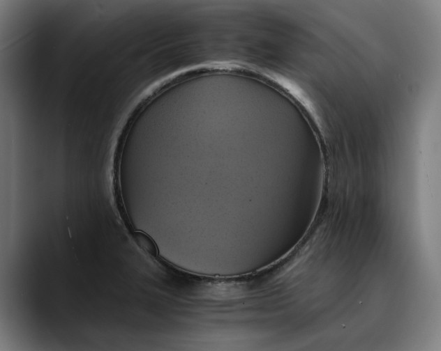 X0000089691327200707121329