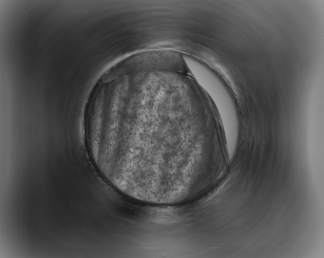 X0000089691328200707121329