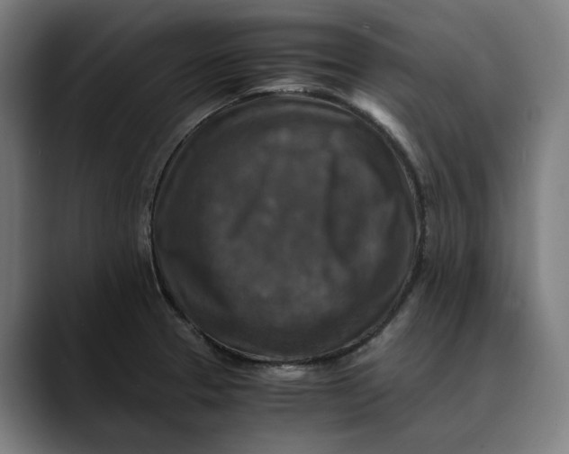 X0000089691329200707121329