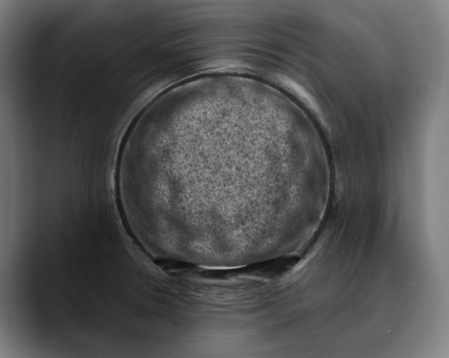 X0000089691330200707121329