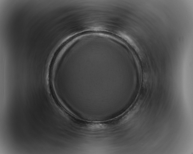 X0000089691331200707121329