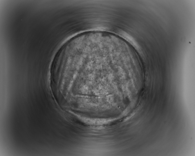 X0000089691332200707121329