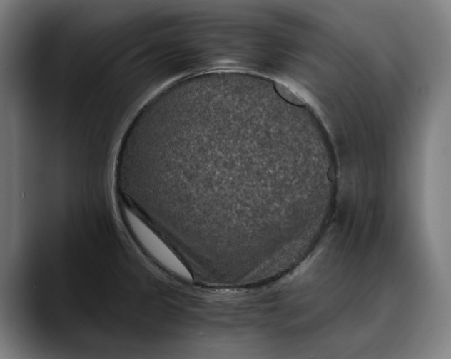 X0000089691333200707121329