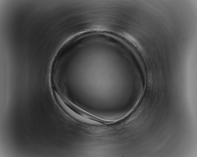 X0000089691334200707121329