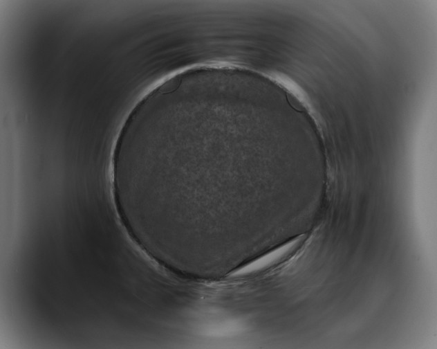 X0000089691335200707121329