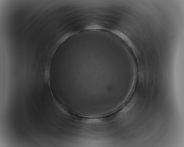 X0000089691337200707121329