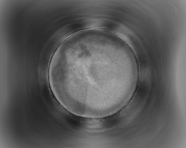 X0000089691338200707121329