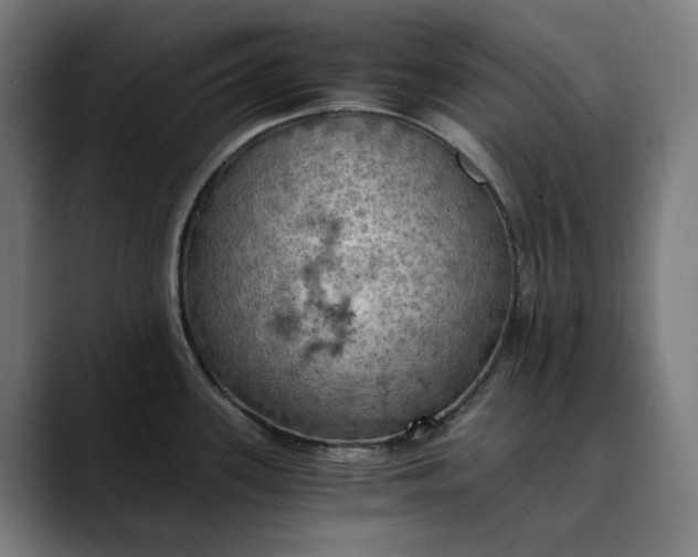 X0000089691339200707121329