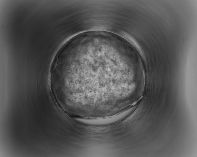 X0000089691340200707121329