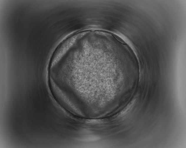 X0000089691341200707121329