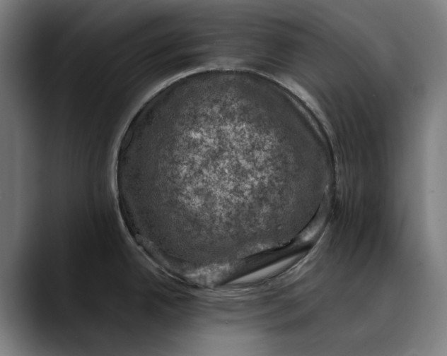 X0000089691342200707121329