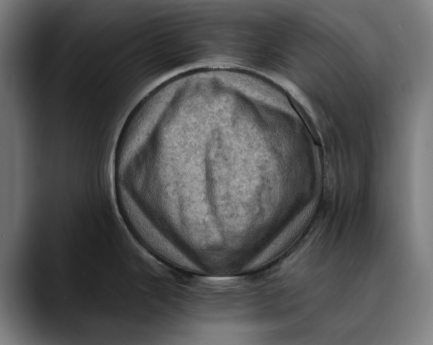 X0000089691343200707121329