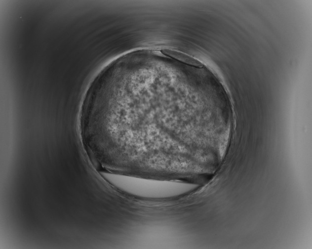 X0000089691344200707121329