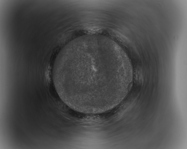 X0000089691346200707121329