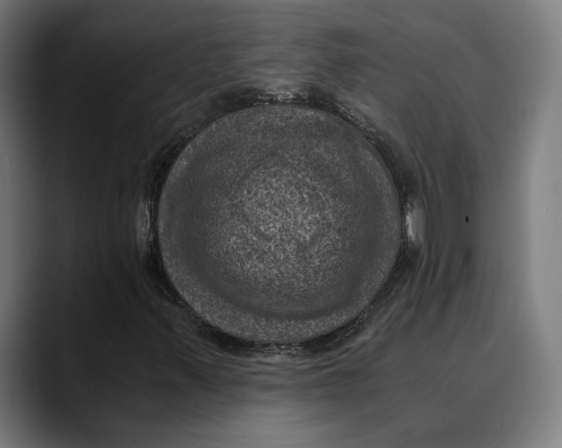 X0000089691347200707121329