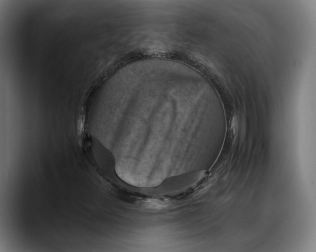 X0000089691348200707121329