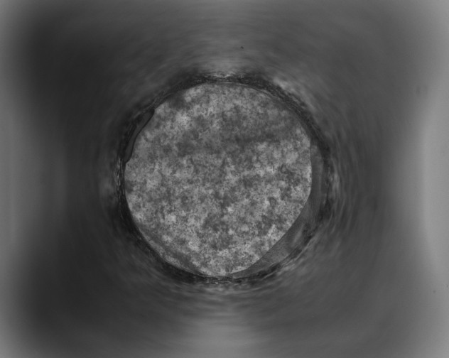 X0000089691349200707121329