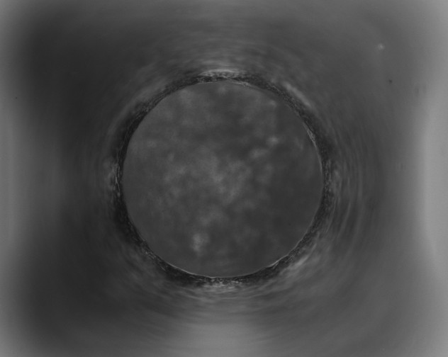 X0000089691351200707121329