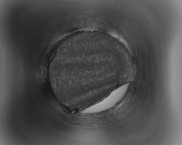 X0000089691352200707121329