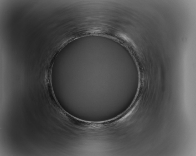 X0000089691353200707121329