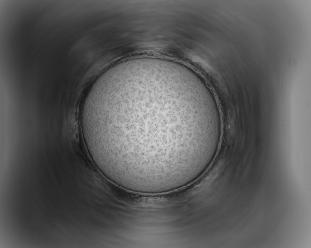 X0000089691354200707121329