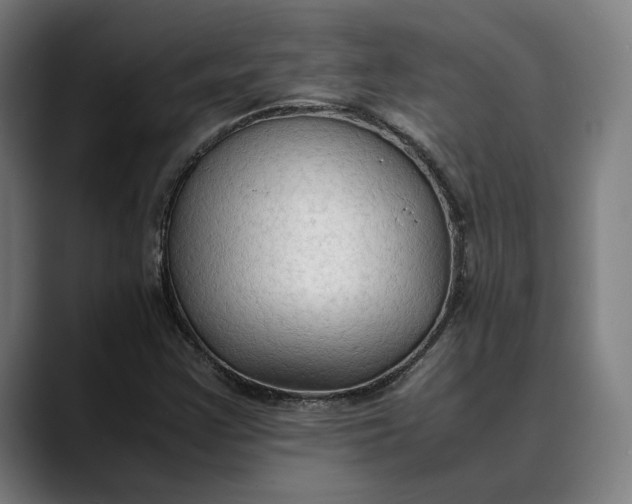 X0000089691355200707121329