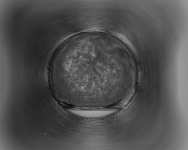 X0000089691356200707121329