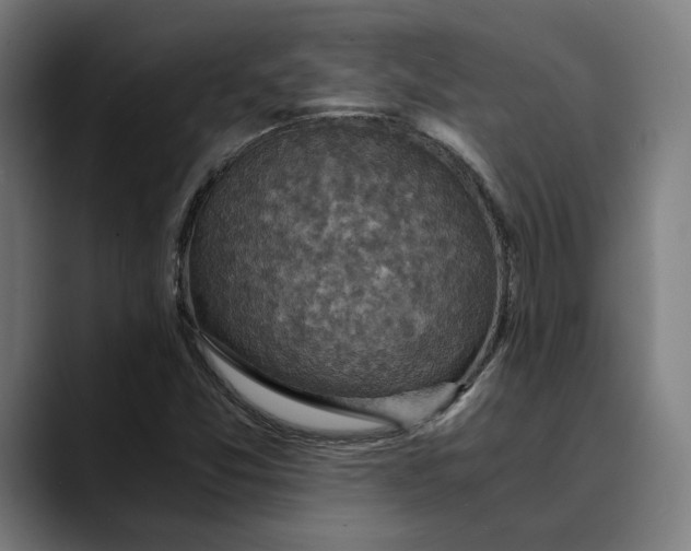 X0000089691357200707121329