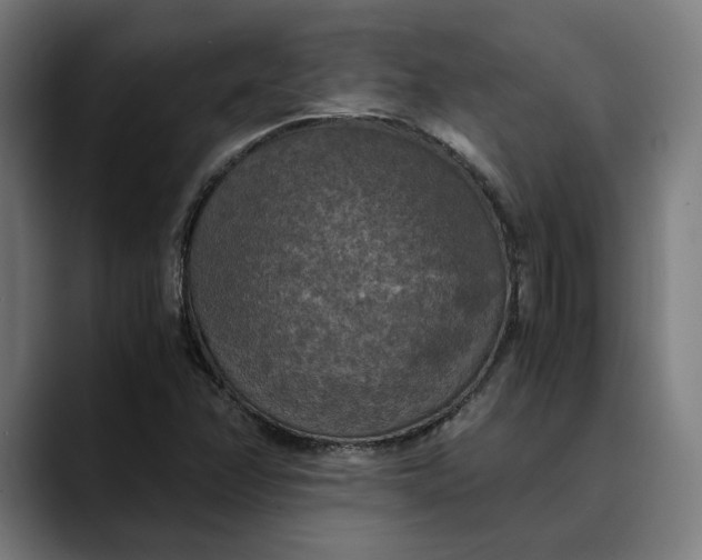 X0000089691358200707121328