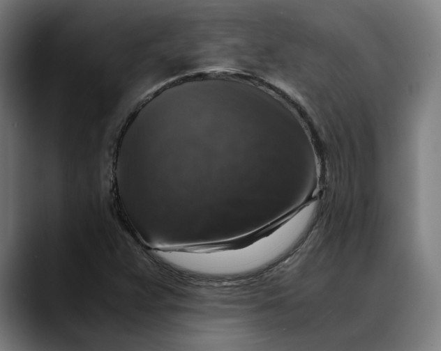 X0000089691359200707121328