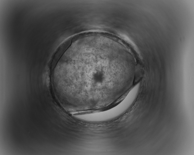 X0000089691360200707121328