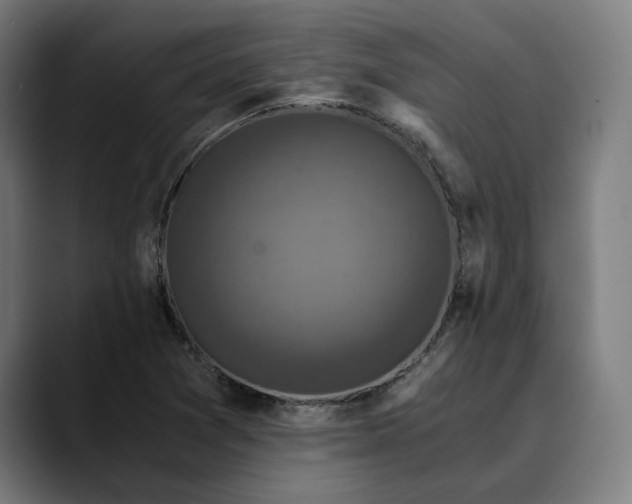 X0000089691361200707121328