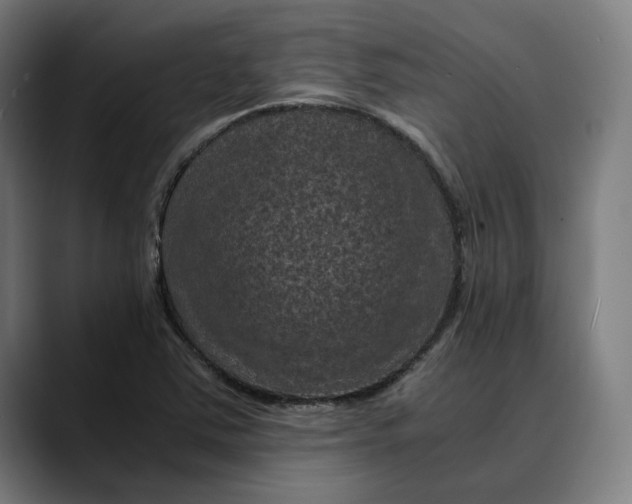 X0000089691363200707121328