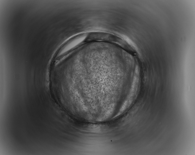 X0000089691364200707121328