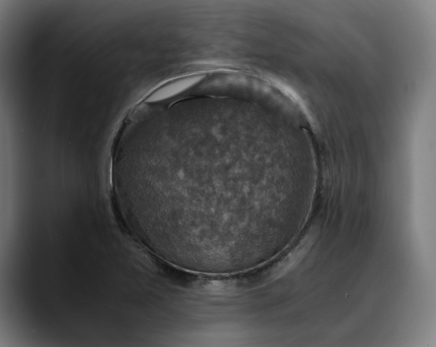 X0000089691365200707121328