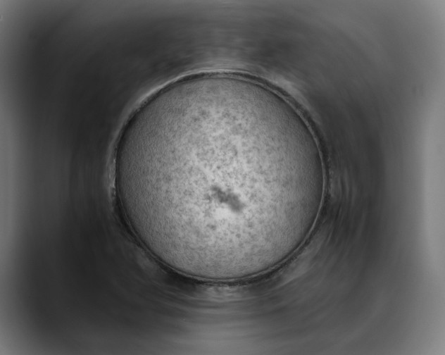 X0000089691366200707121328