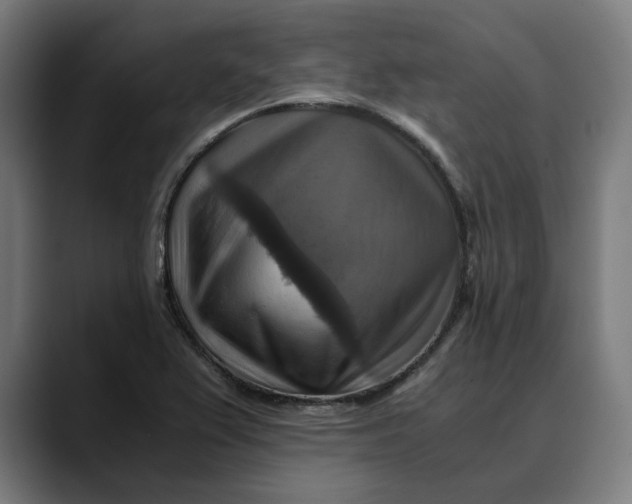 X0000089691367200707121328