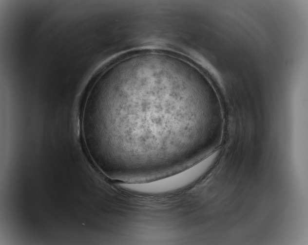 X0000089691368200707121328