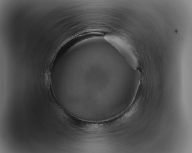 X0000089691369200707121328