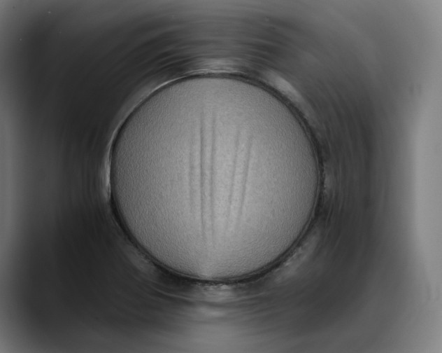 X0000089691370200707121328