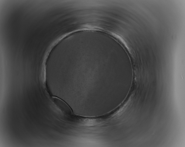 X0000089691371200707121328