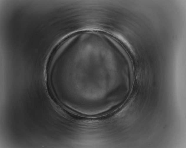 X0000089691372200707121328