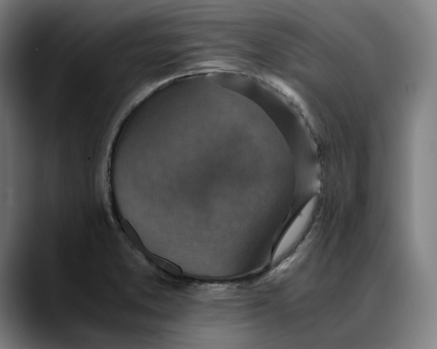 X0000089691373200707121328