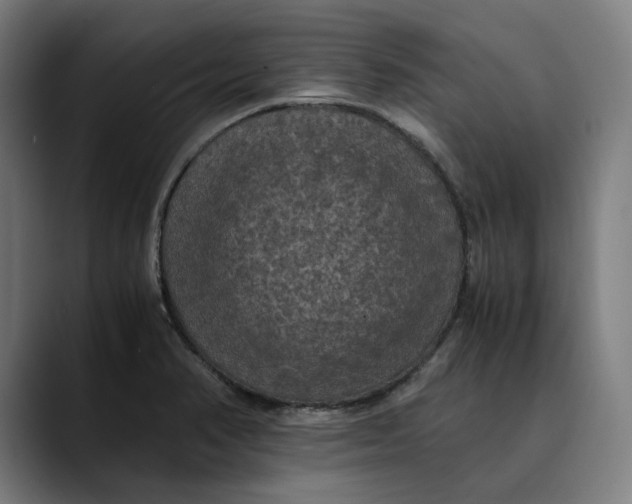 X0000089691374200707121328